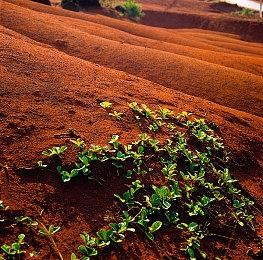 前《黑道圣徒》开发商Volition主创成立新工作室Shapeshifter Games